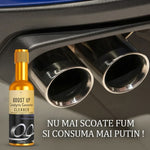 Soluție Curățare Catalizator Auto